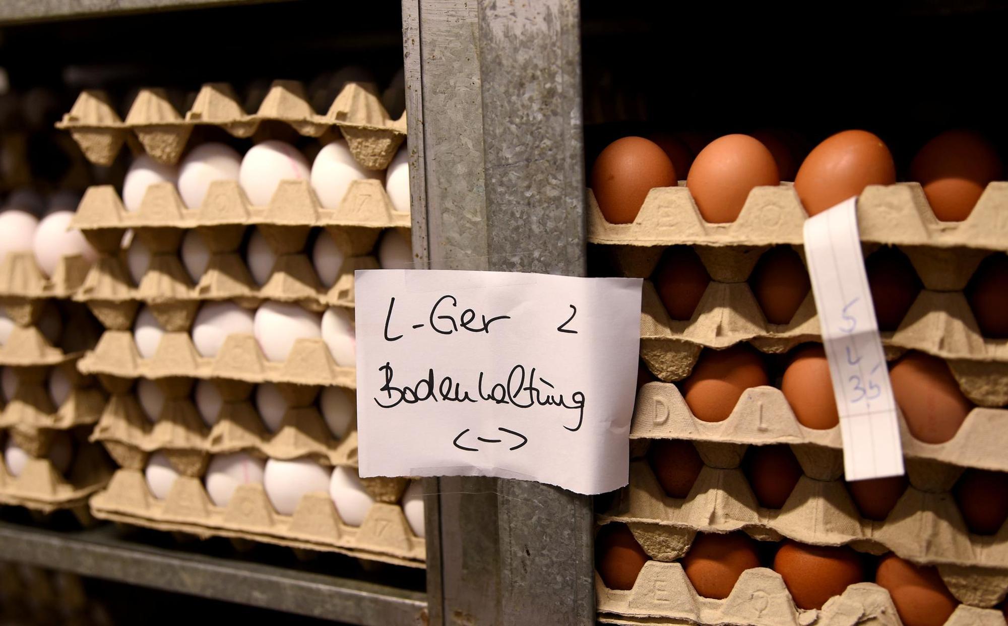 Huhnweißbraun