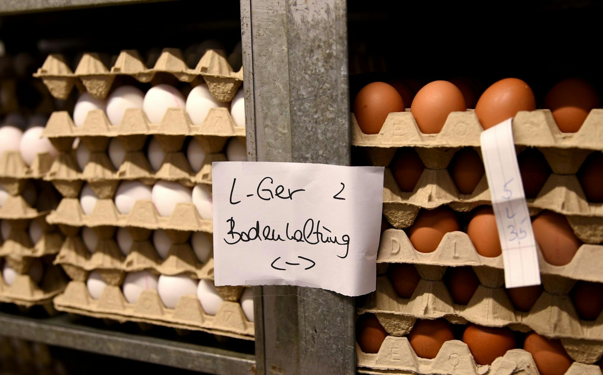 Huhnweißbraun
