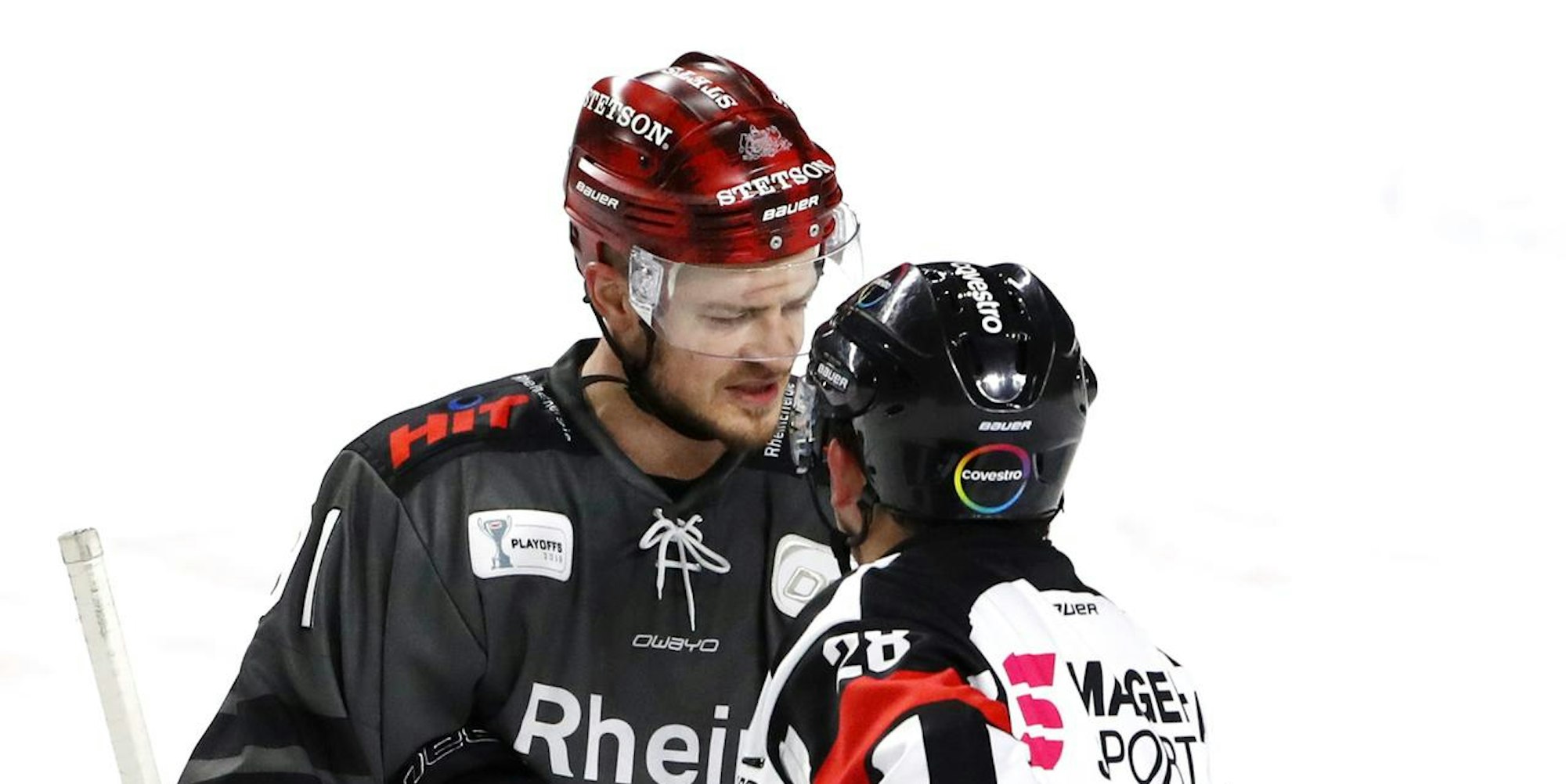 Haie_ohne_Müller_nach_Ingolstadt