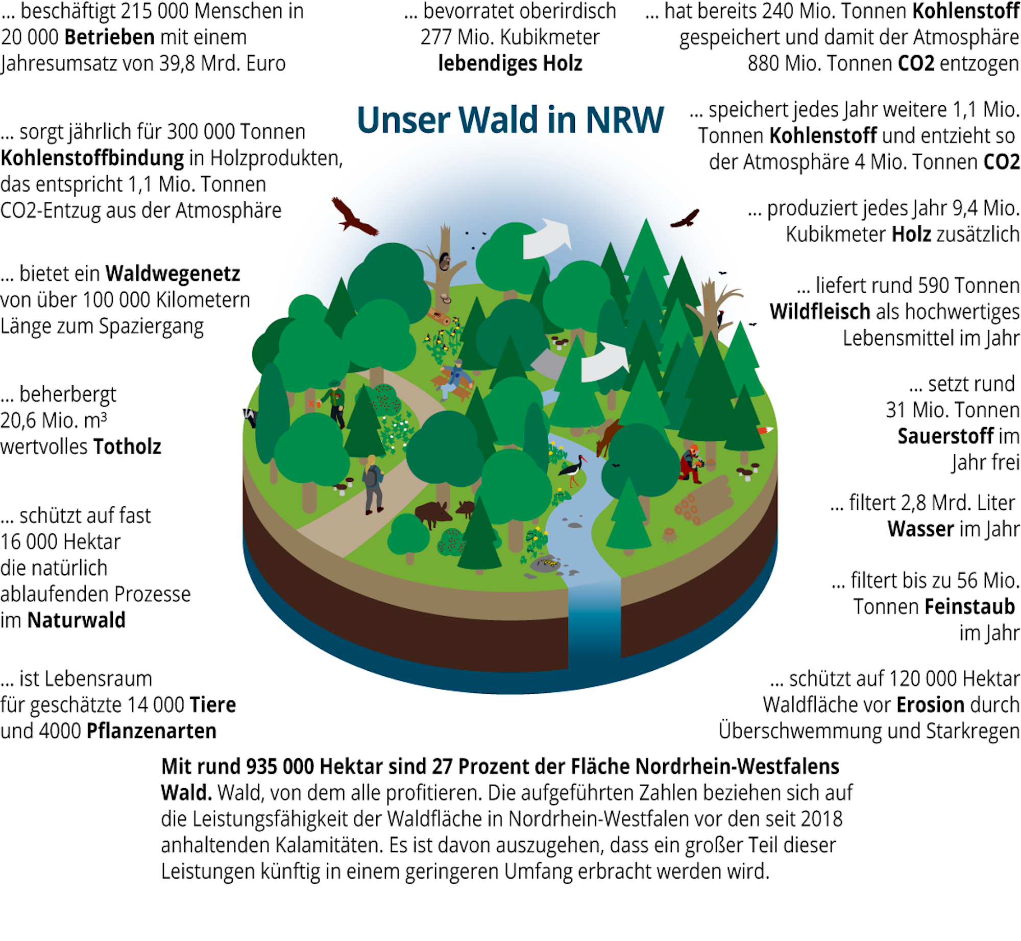 Waldserie-Teil-5