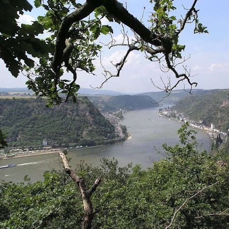 Dreiburgenblick Loreley