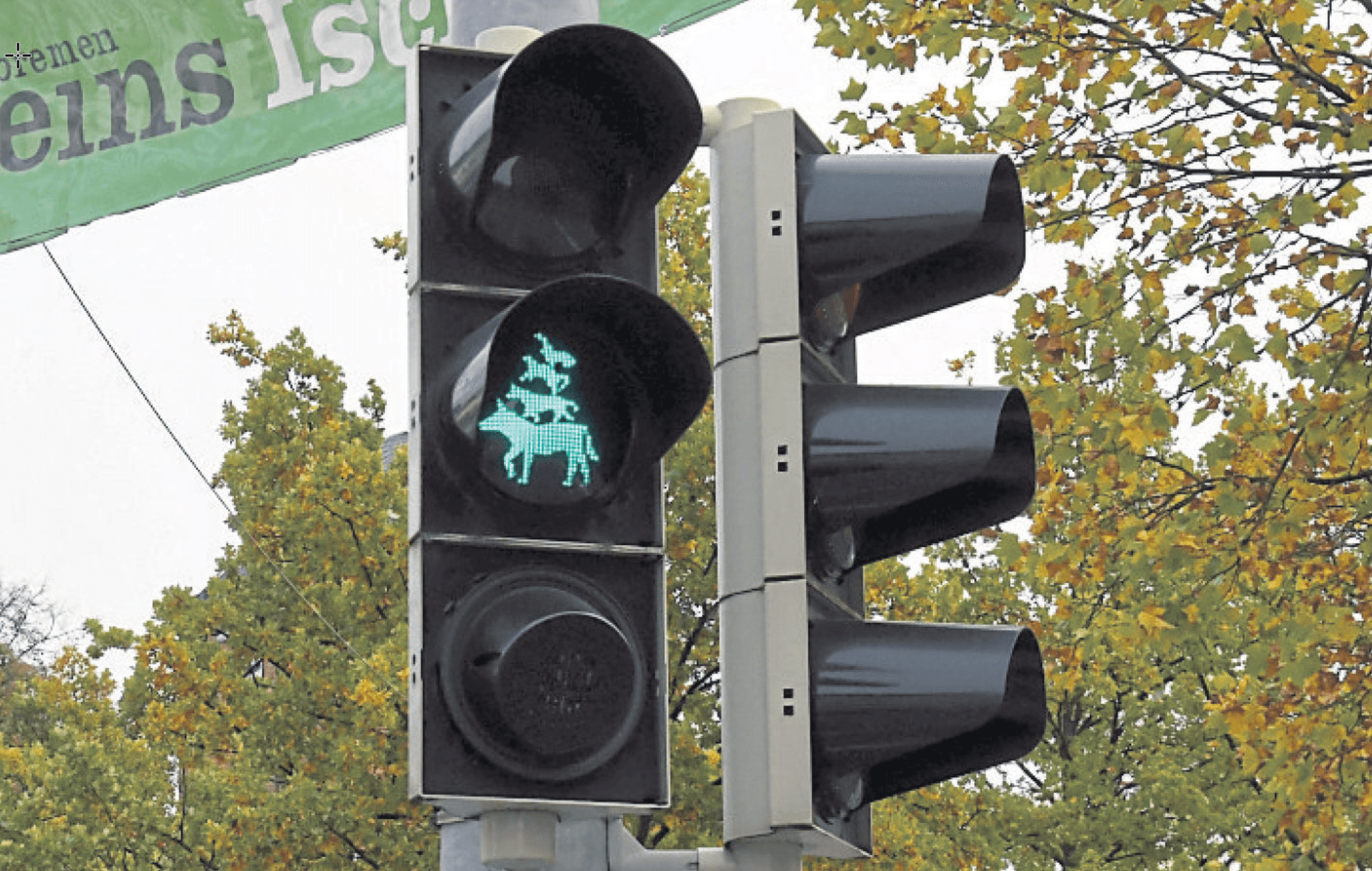 Neuer Inhalt (4)