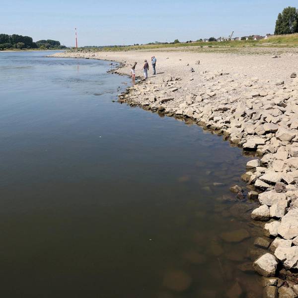 20220809_MW_Hitdorfer Fähre 06