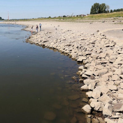 20220809_MW_Hitdorfer Fähre 06