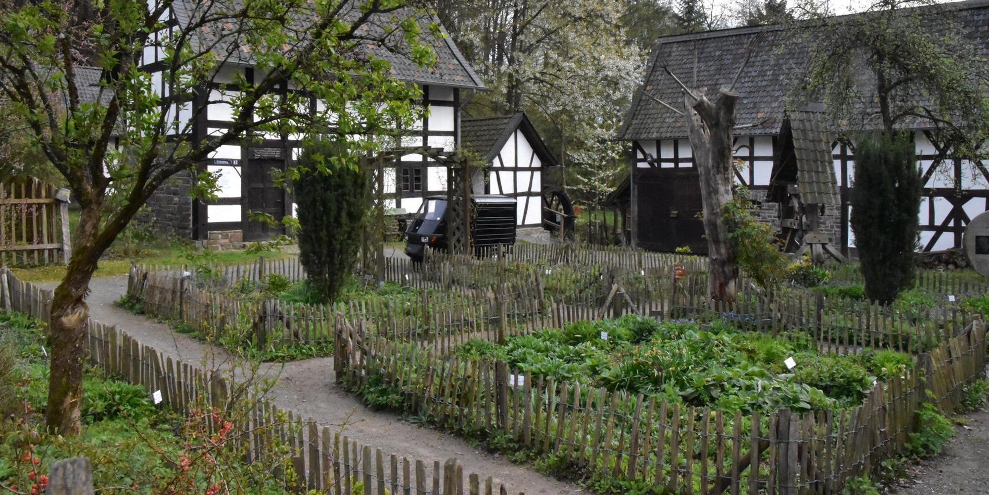 Heimatmuseum (1)
