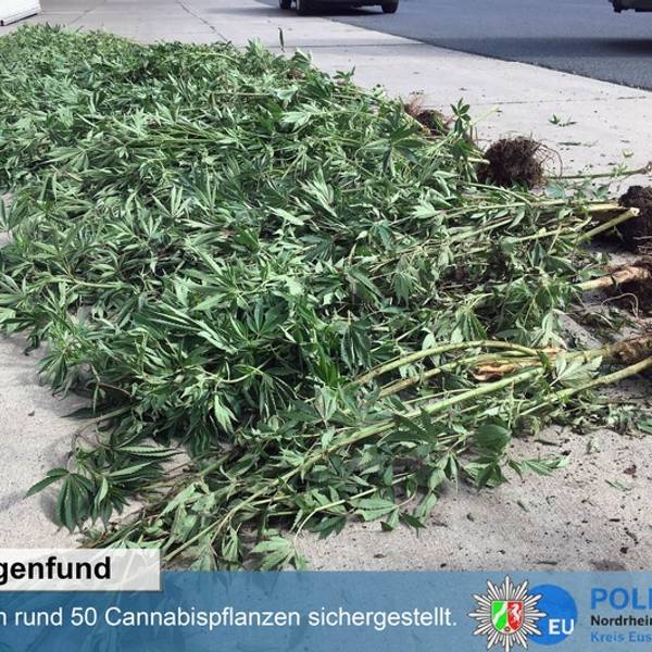 Neuer Inhalt