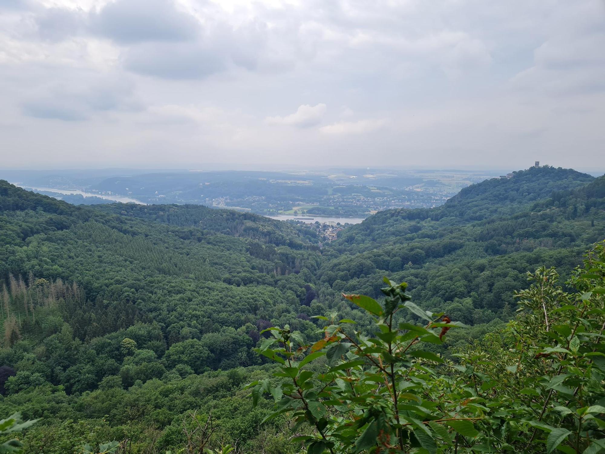 Rheinsteig Geisberg
