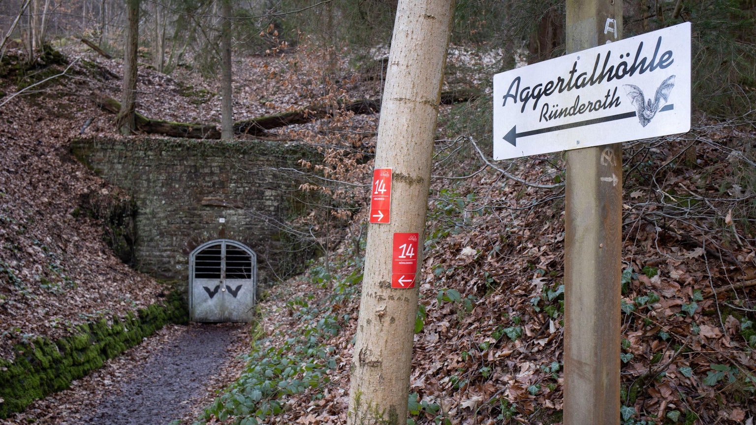 Ein Schild der Ründerother Aggertalhöhle zeigt auf eine Metalltür, die in eine alte Mauer im Wald eingelassen ist.