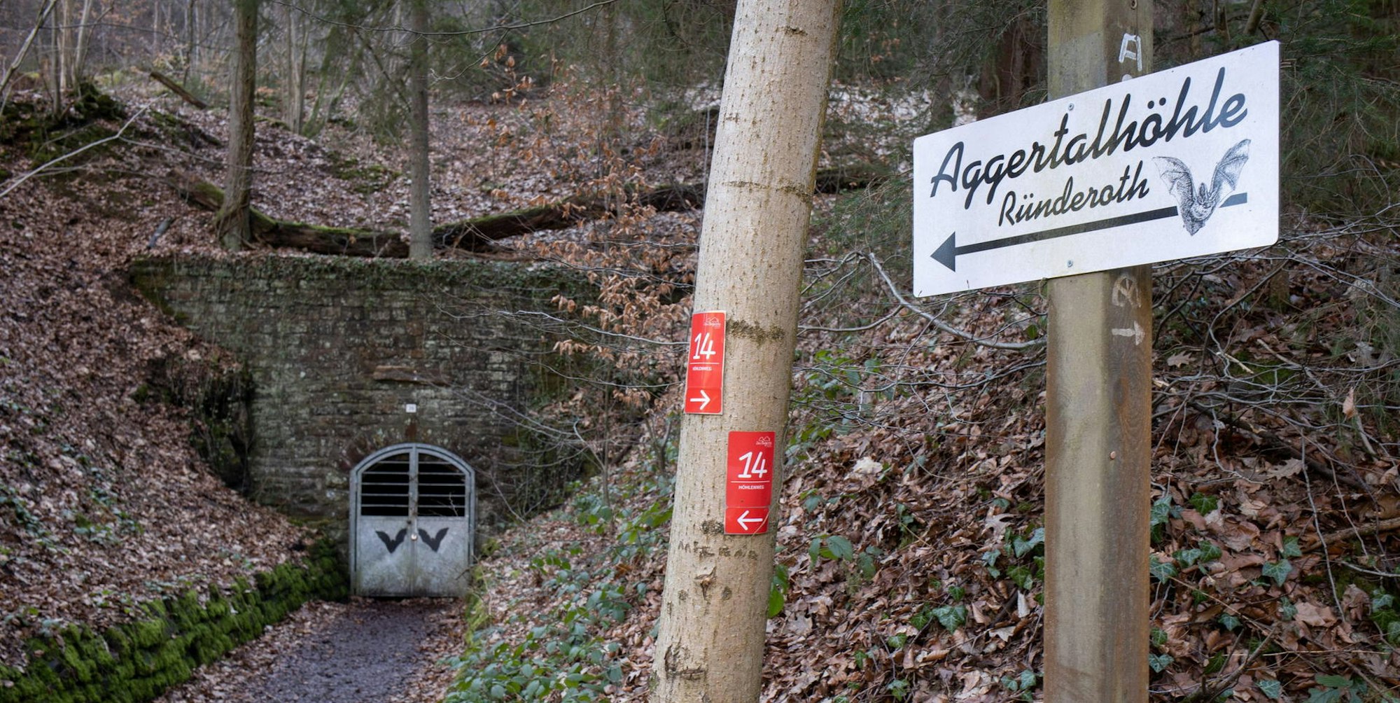 Ein Schild der Ründerother Aggertalhöhle zeigt auf eine Metalltür, die in eine alte Mauer im Wald eingelassen ist.