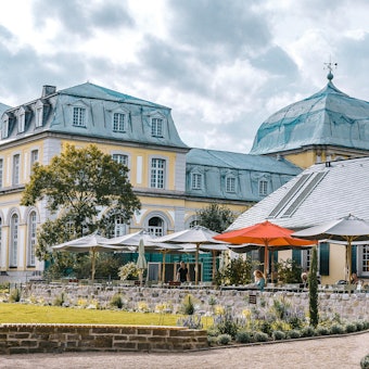 Nees in Bonn Foto nicht wiederverwerten