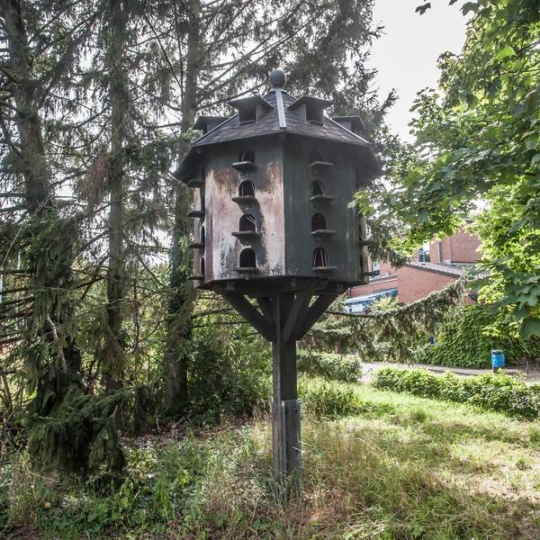 Taubenhaus-IHK-_rar_rle_07122022ALF_1469