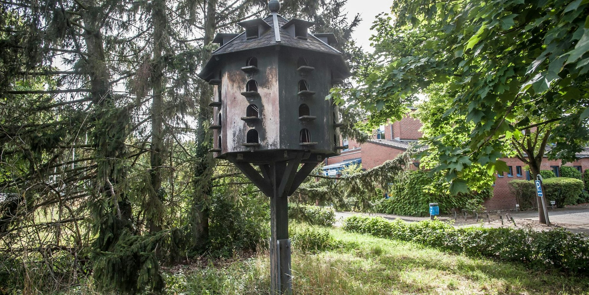 Taubenhaus-IHK-_rar_rle_07122022ALF_1469