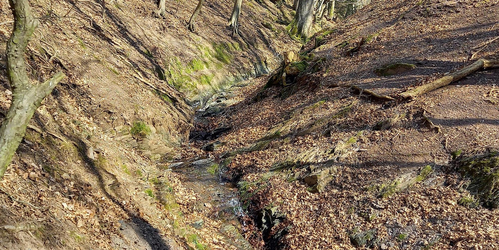 Hochwasserschutz Schleiden