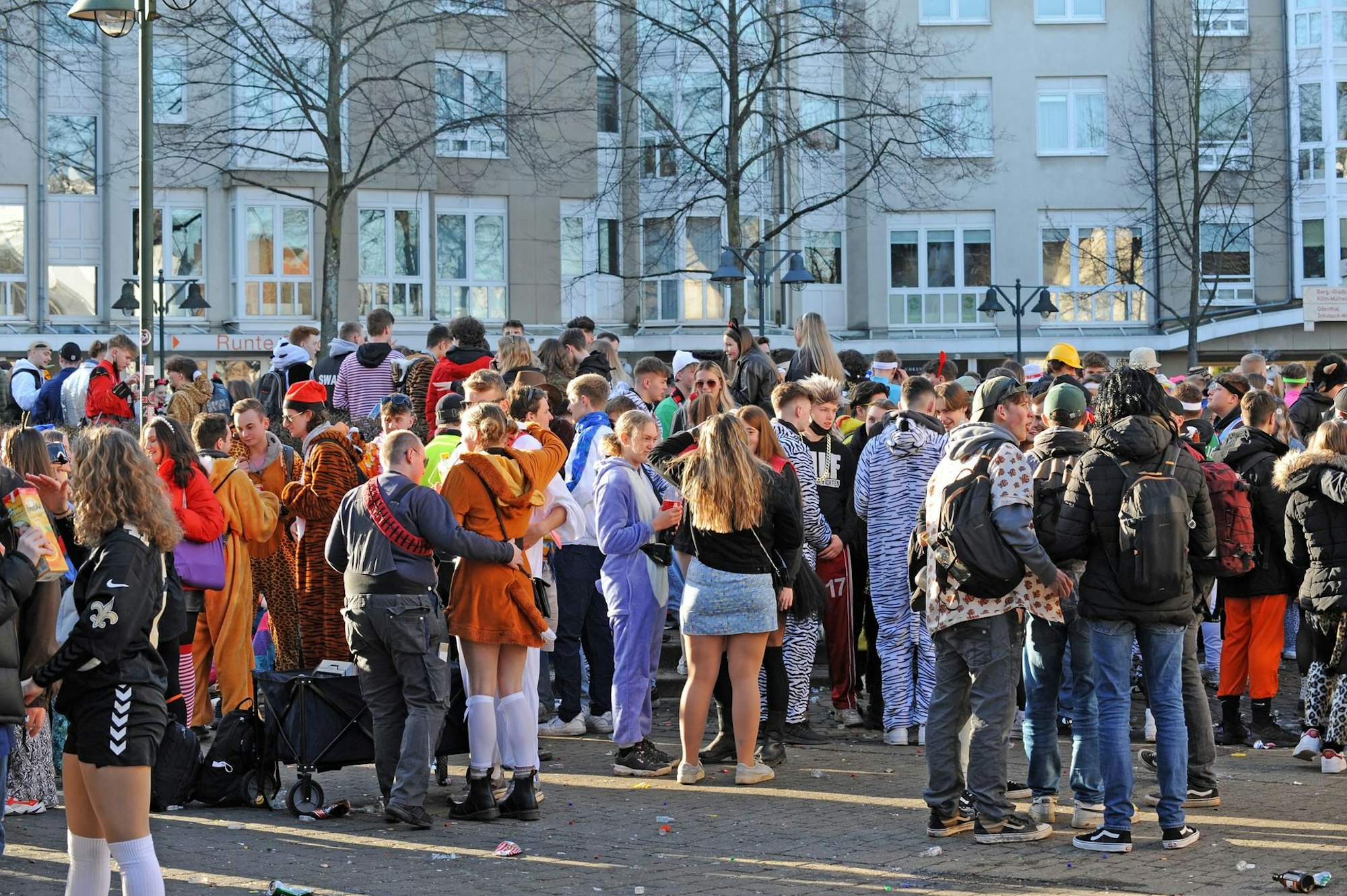 Schlebusch3