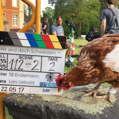 Filmhuhn Sieglinde DPA 221119