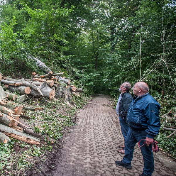 rar_leimb-berg-schlebusch_RLE_Leverkusen08202021ALF_8099