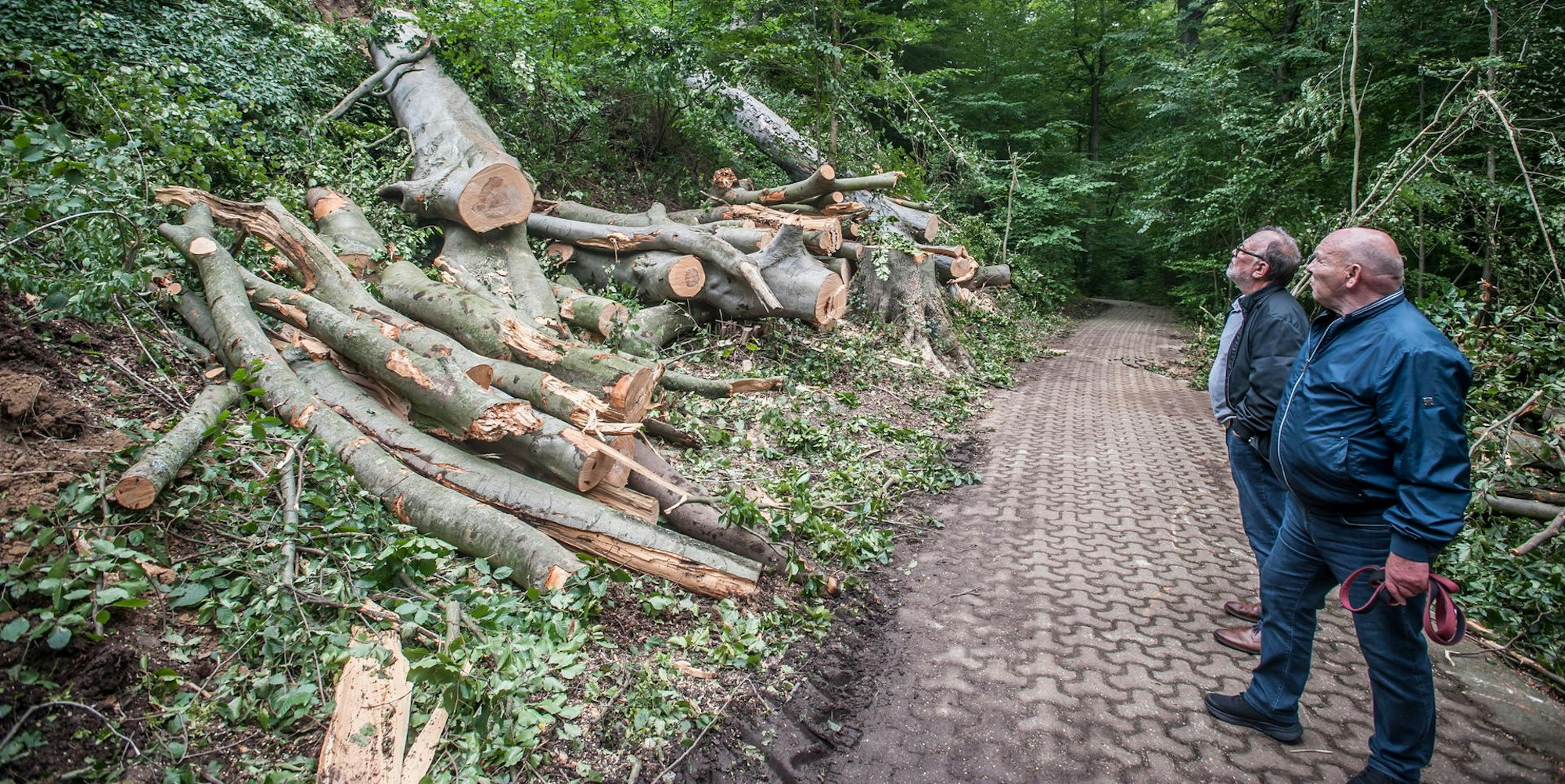 rar_leimb-berg-schlebusch_RLE_Leverkusen08202021ALF_8099