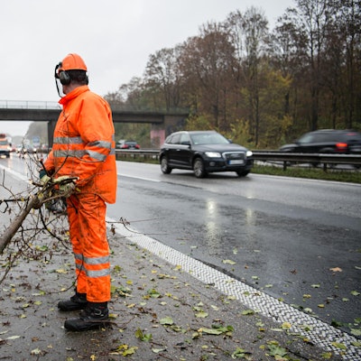 Gehölzpflege_Autobahn