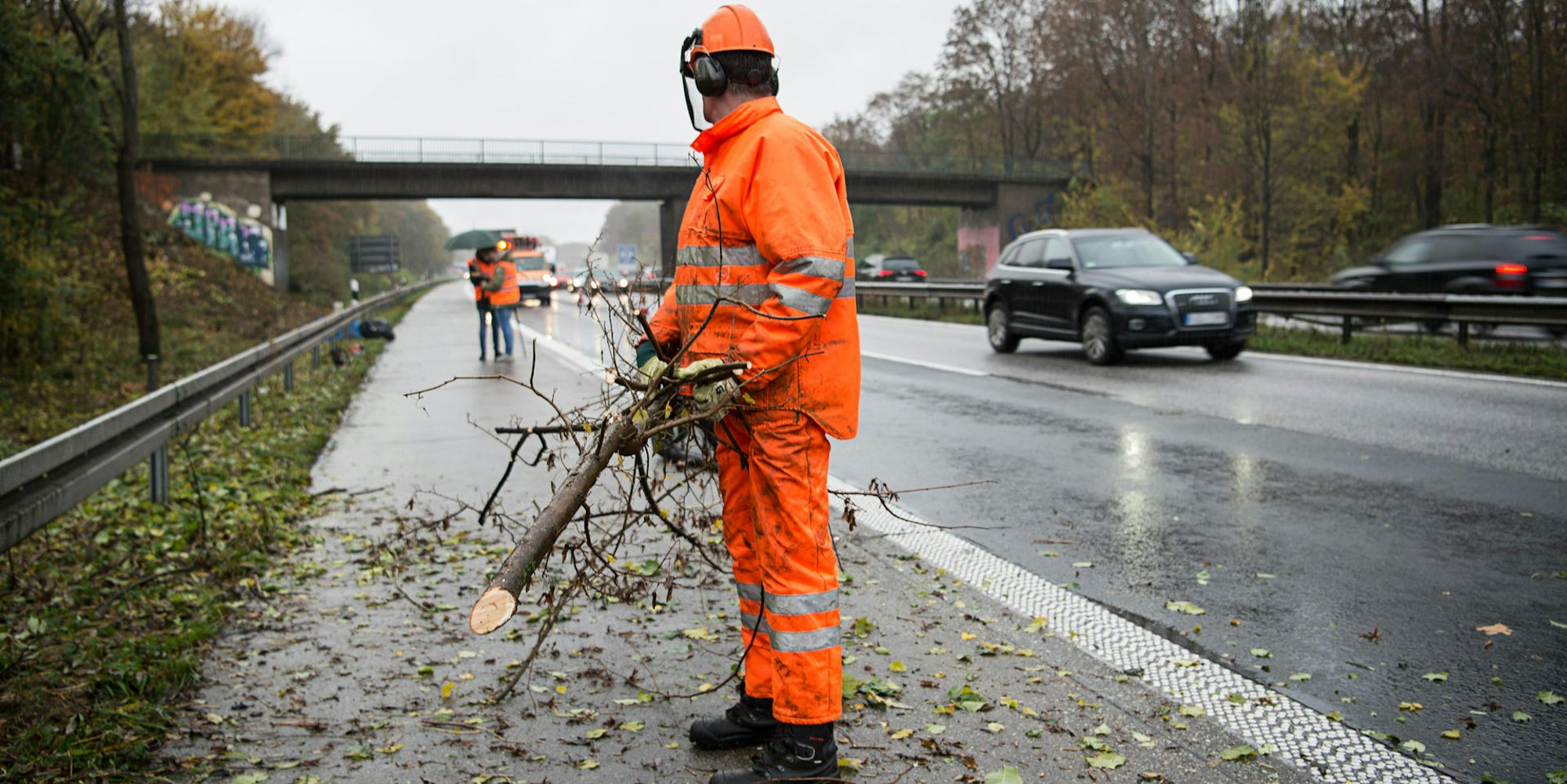 Gehölzpflege_Autobahn