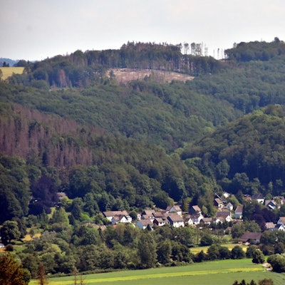 Waldbrandgefahr_Nutscheid2