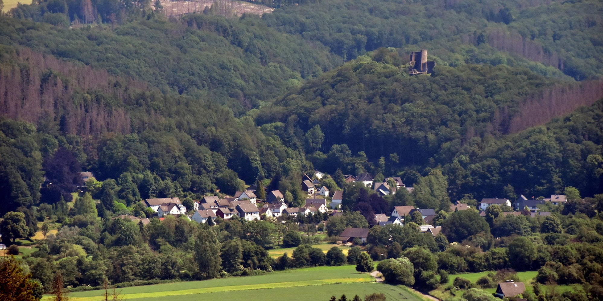 Waldbrandgefahr_Nutscheid2