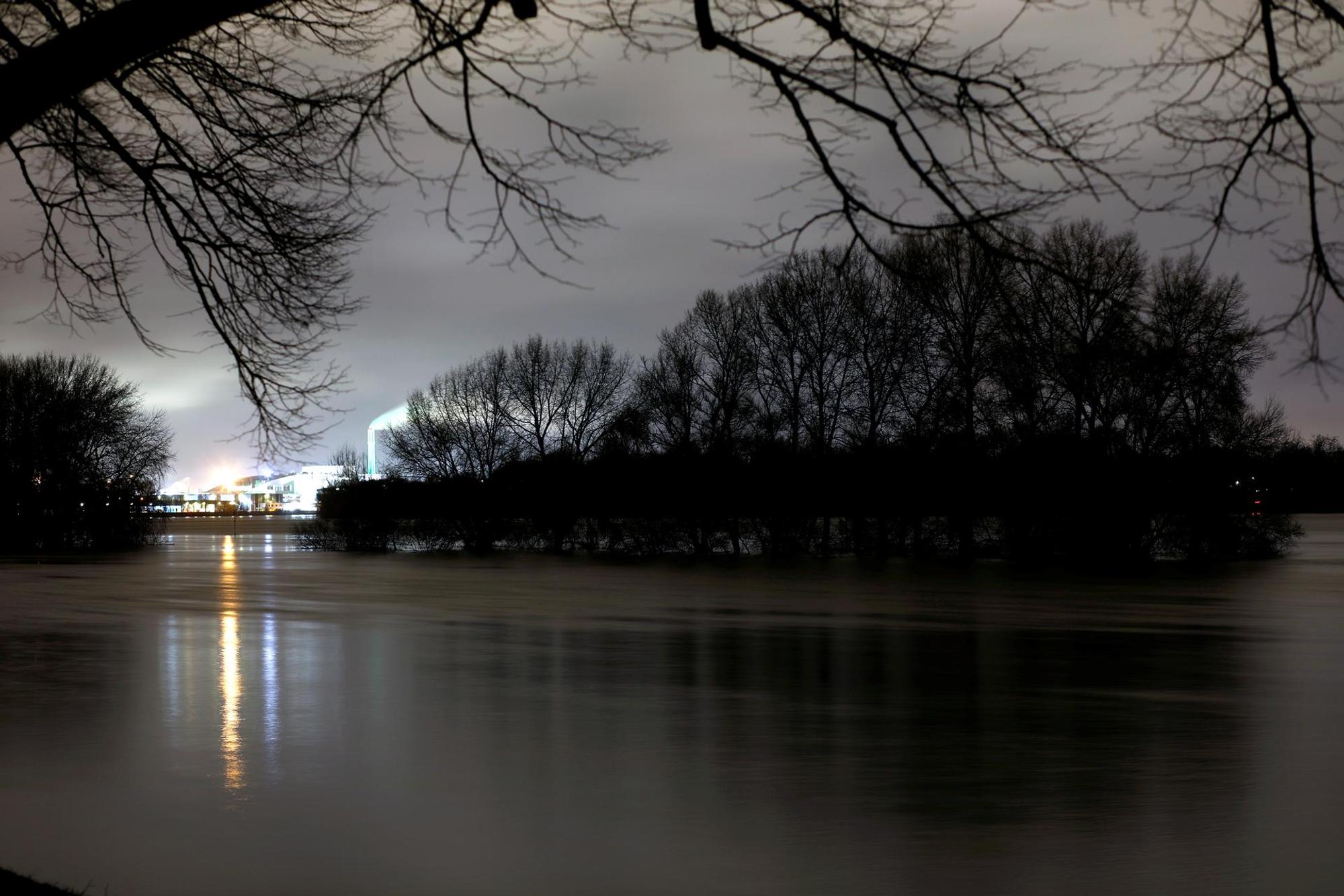 Rhein MItwochnacht Bäume