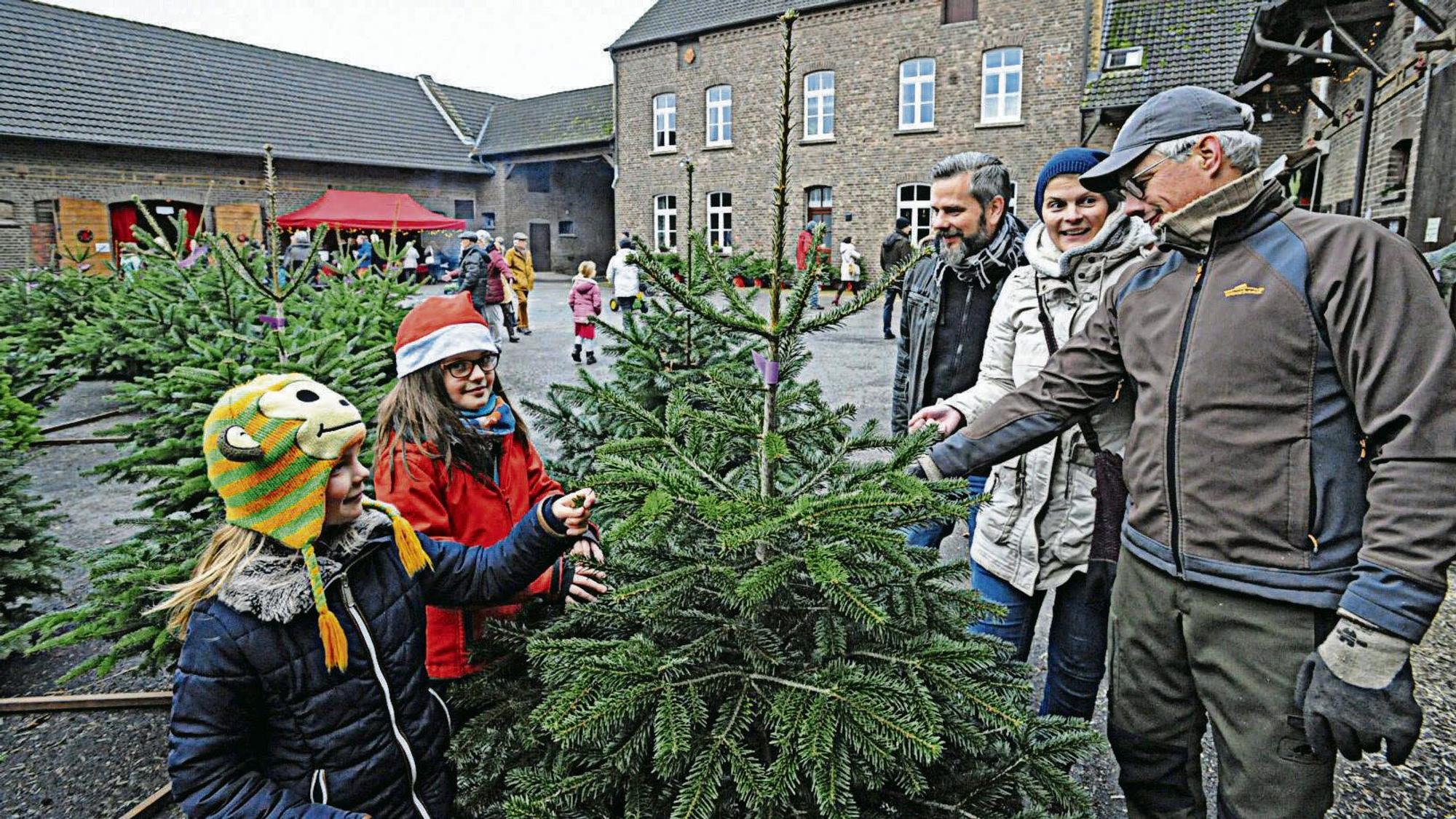 Johanna, Charlotte, Christian und Katja Faehndrich haben auf dem Leimbacher Hof nach einem schönen Weihnachtsbaum gesucht.