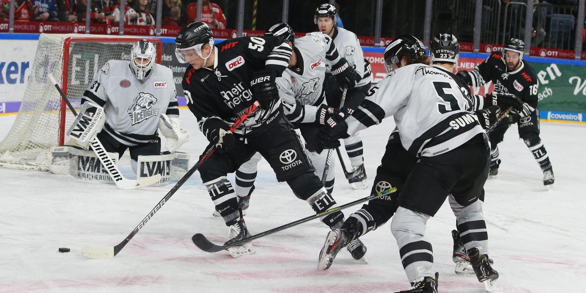 Haie Nürnberg 2801