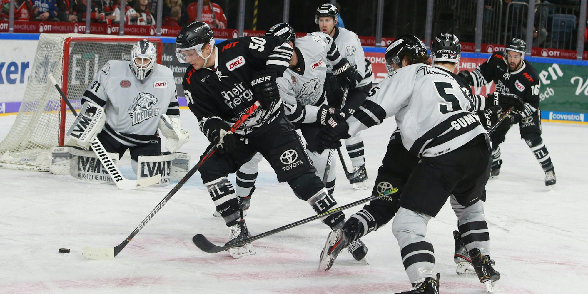 Haie Nürnberg 2801