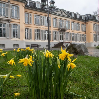 Schloss Morsbroich (1)