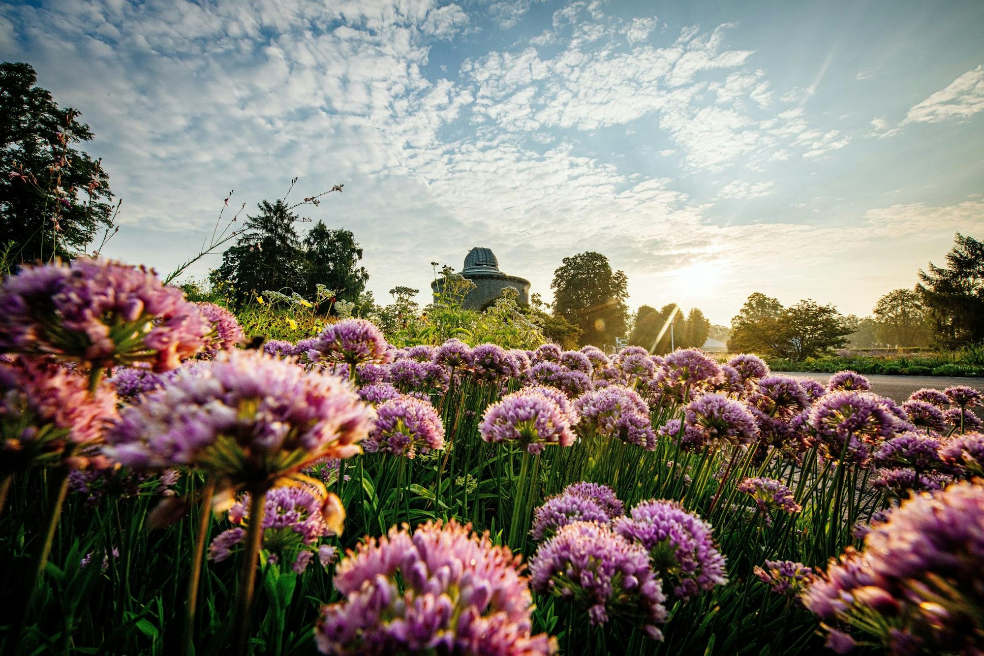 Bundesgartenschau 1