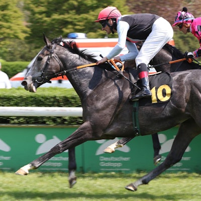 Mylady siegreich im Dr. Busch-Memorial