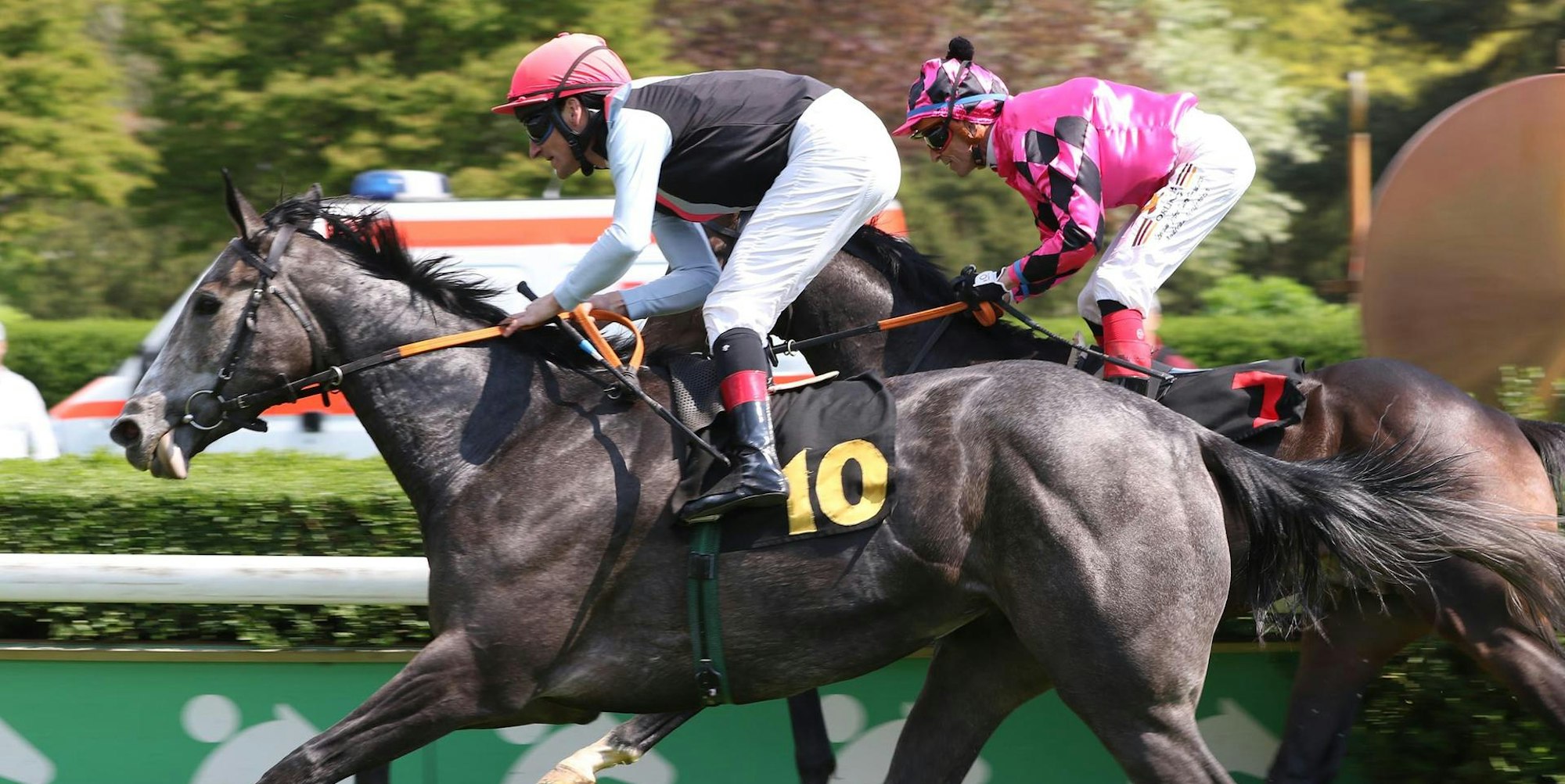 Mylady siegreich im Dr. Busch-Memorial