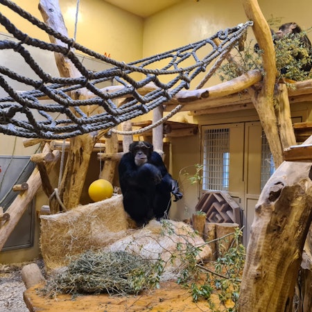 Krefeld Affengehege neu 240522