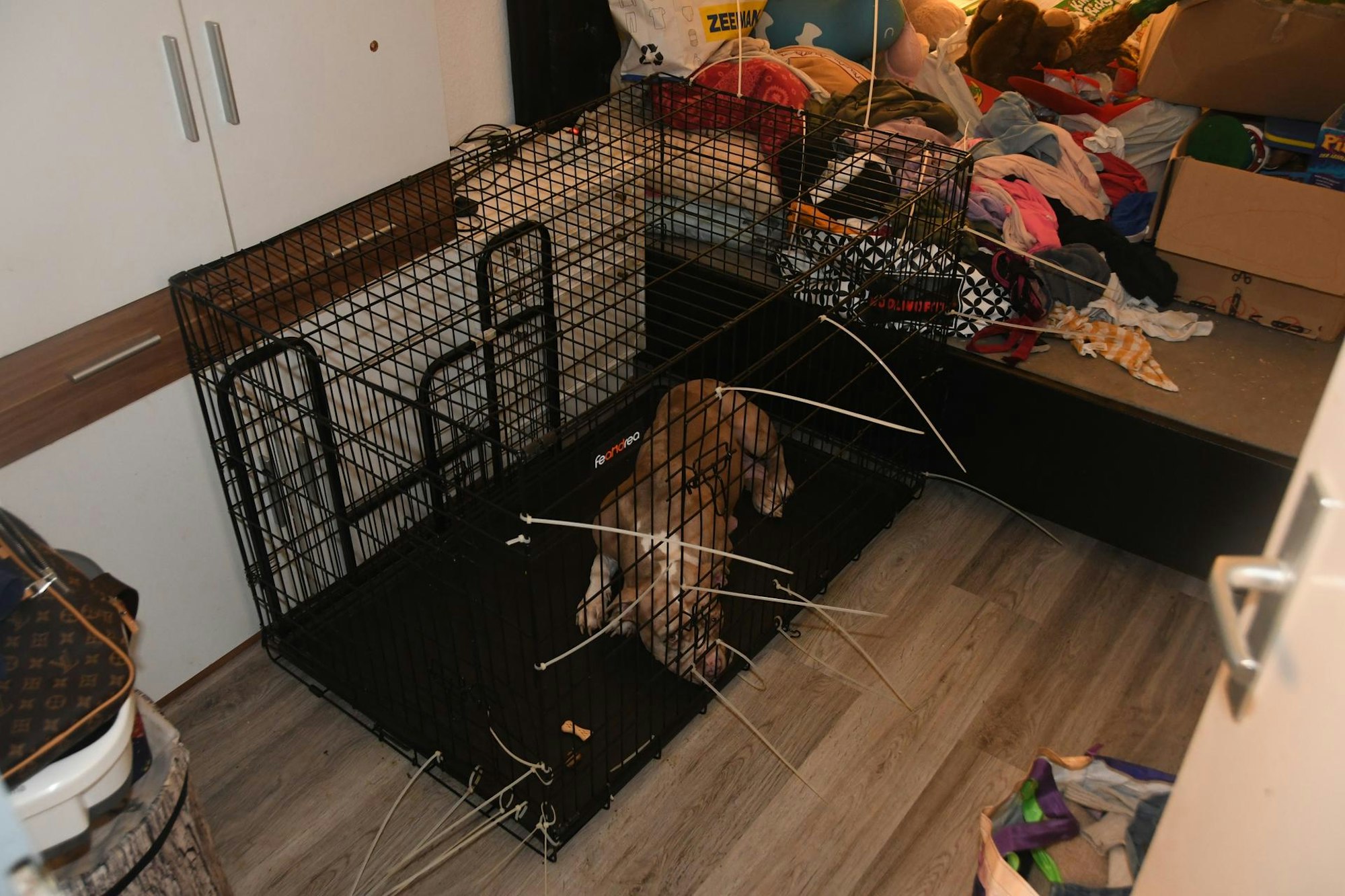 Muttertier_K_Kühzällerweg