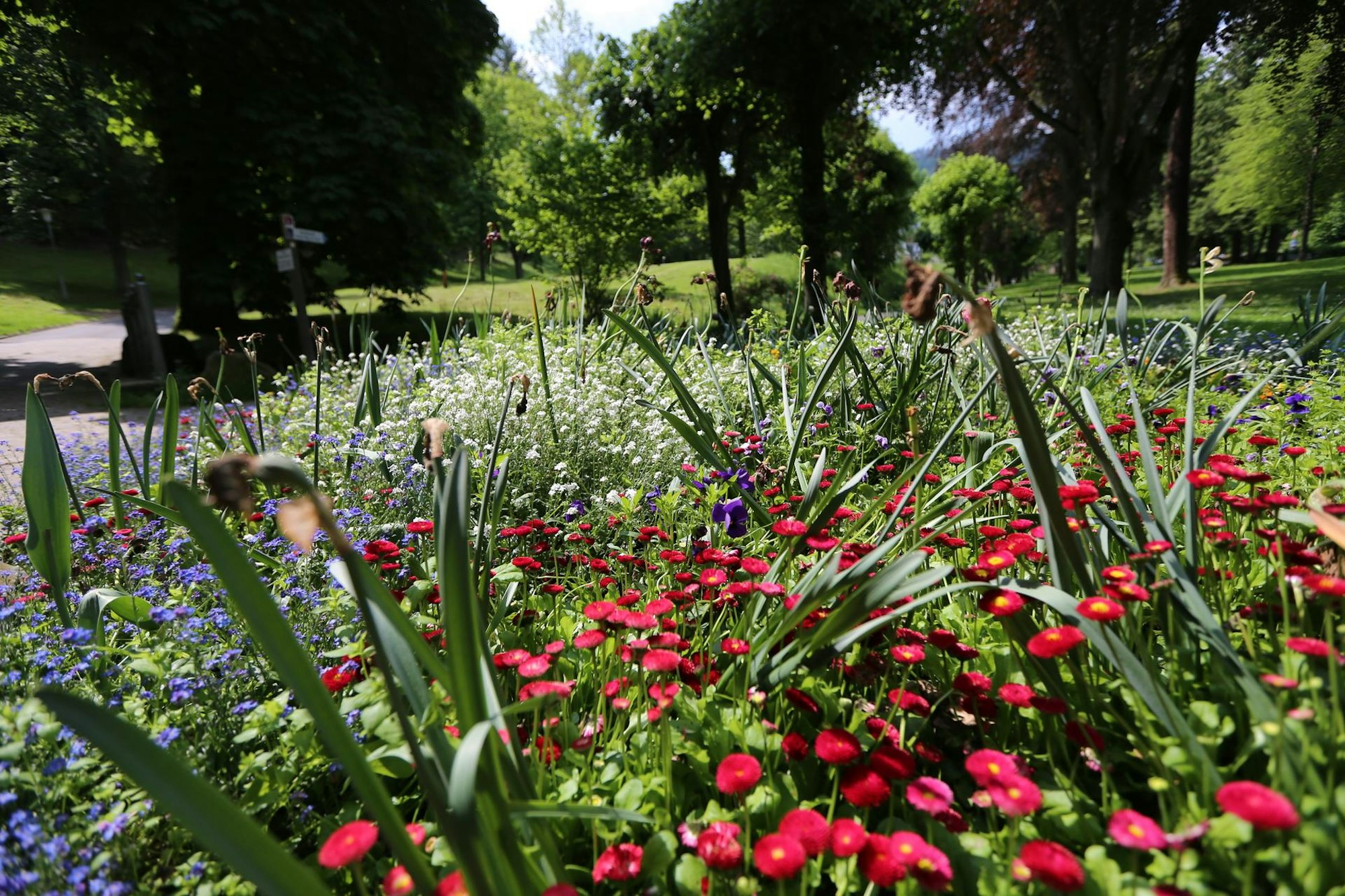 LP BuGa Bild 4 Jens Weber