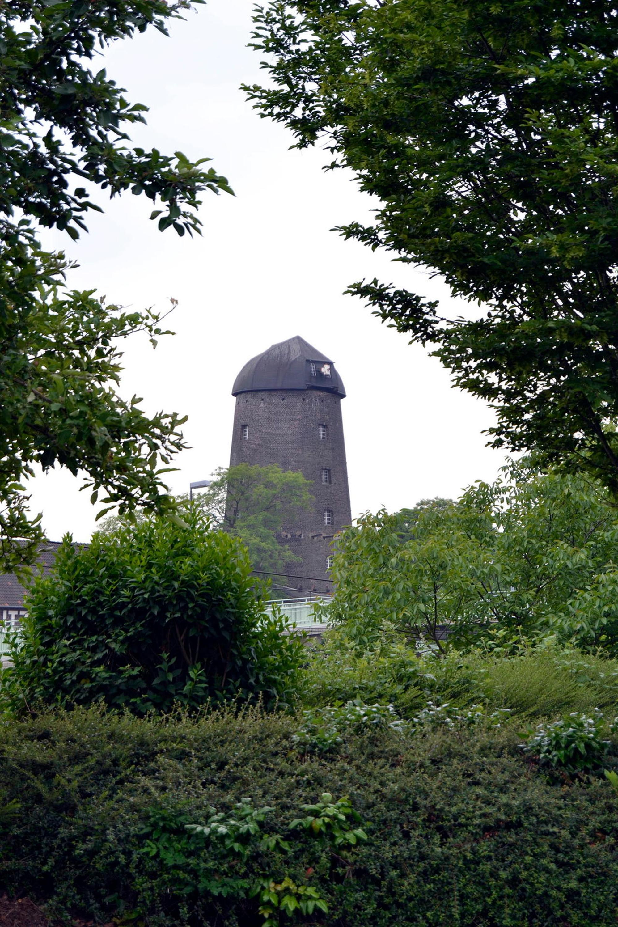 VeedelscheckGodorf_Muehle