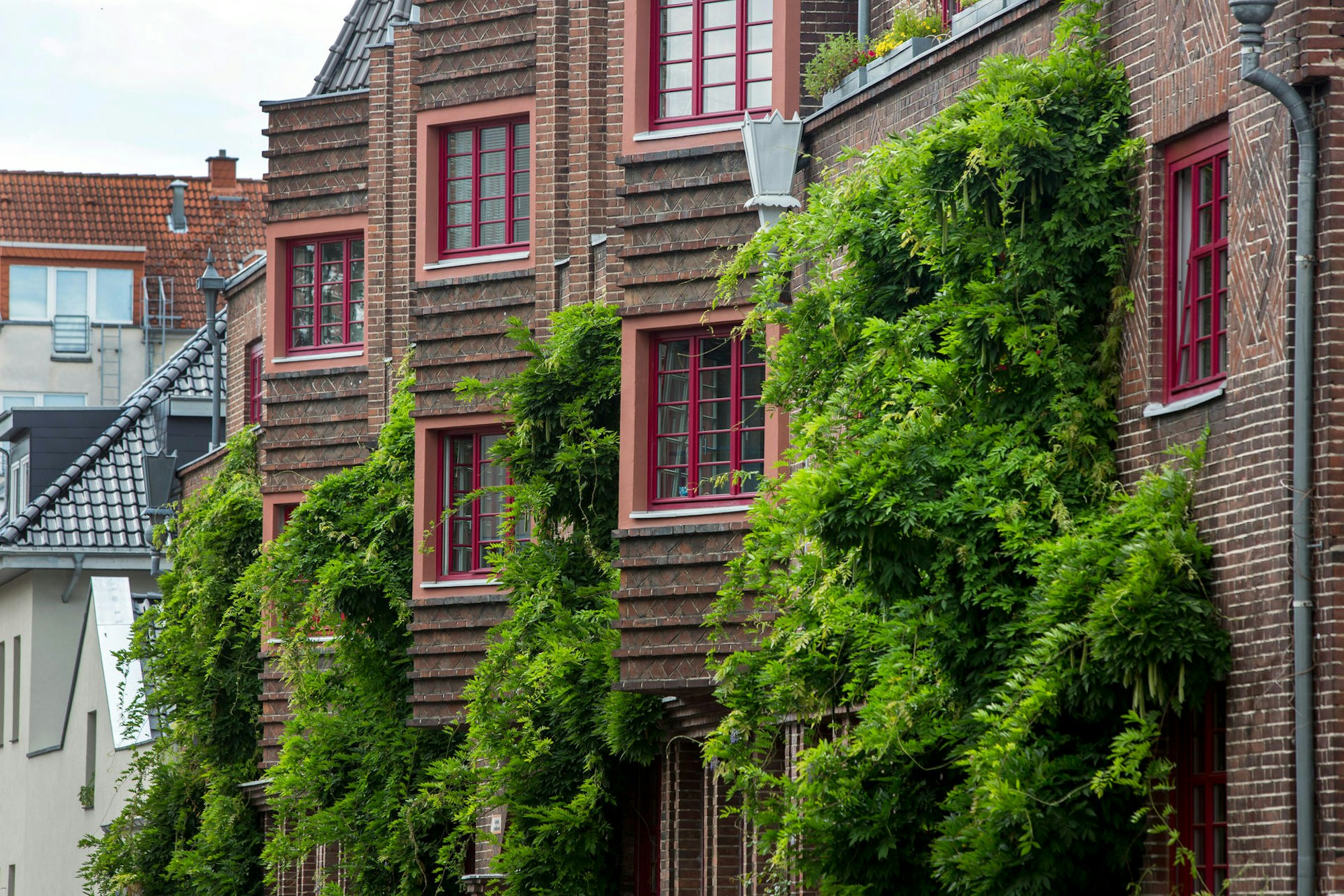 Sommerserie Bayenthal Fassaden