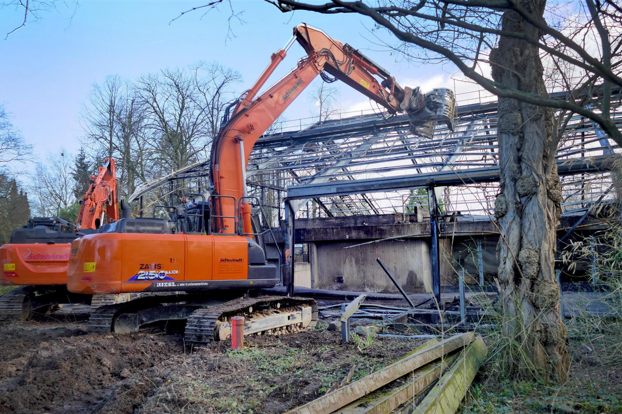 Affenhaus Krefeld Zoo 2020
