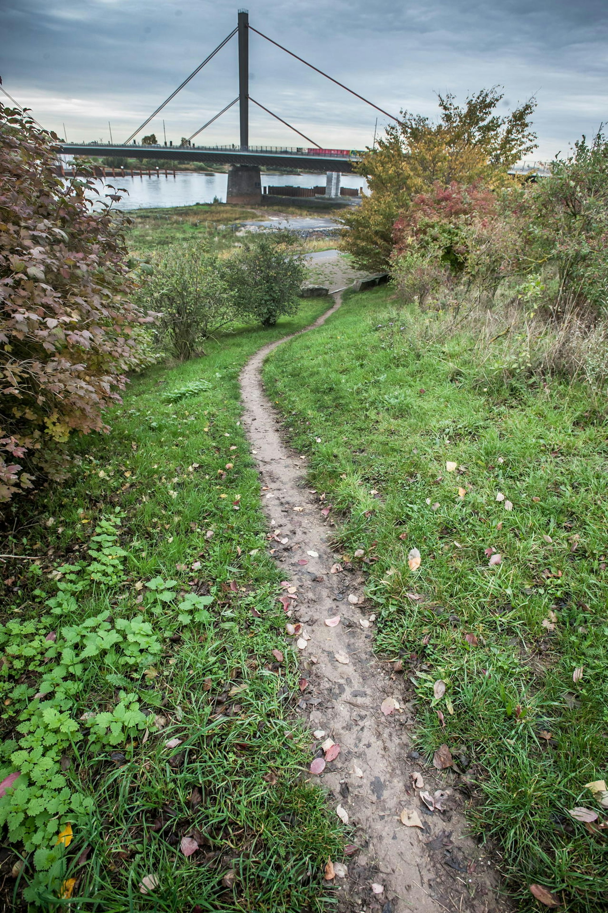 trampelpfad-leverkusen_ALF_1496