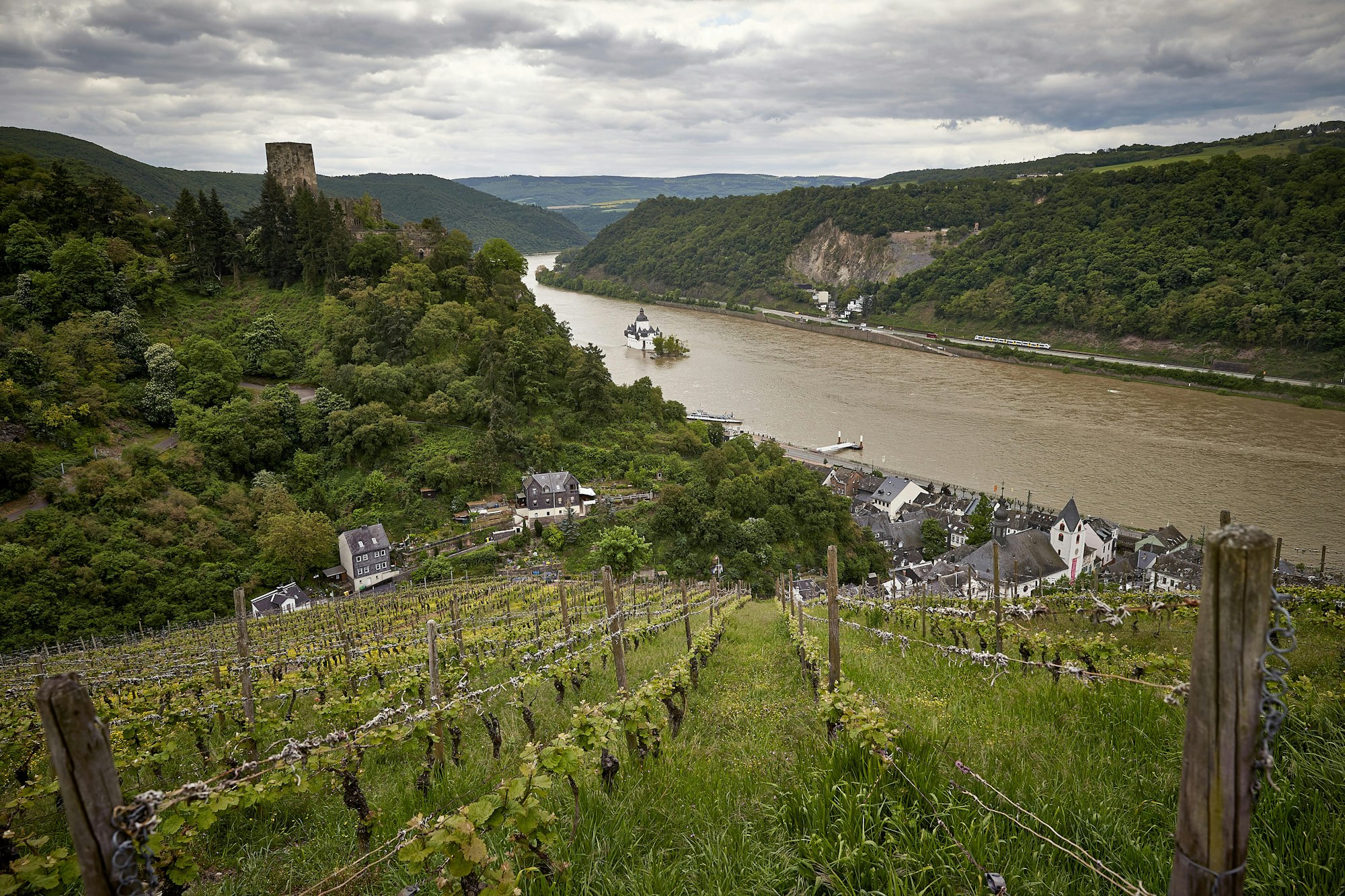 mittelrhein_wein_burg_dpa