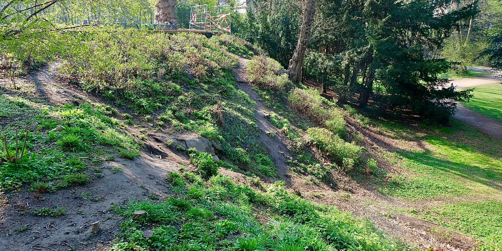 fullsizeoutput_78b (1)