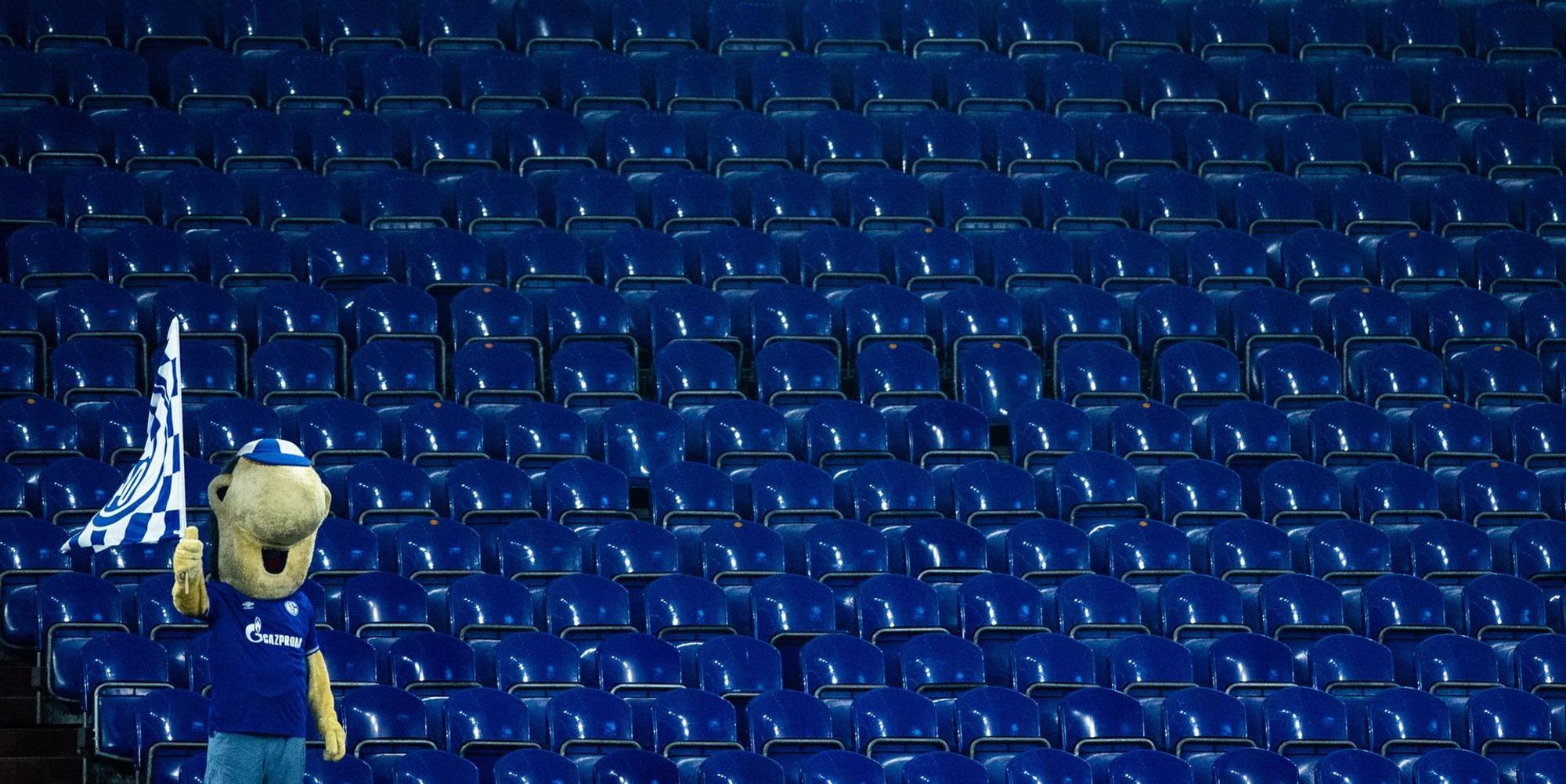 Schalke Maskottchen Erwin Schalke