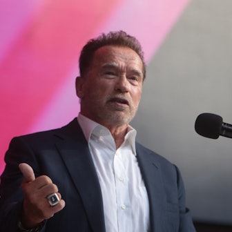 Schwarzenegger Köln KRASNIQI