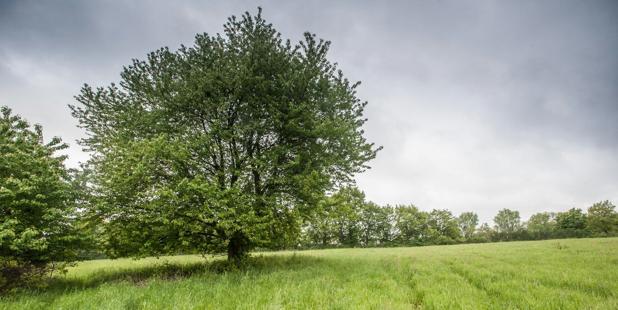 burscheid-rastplatz-PWC-ALF_7635