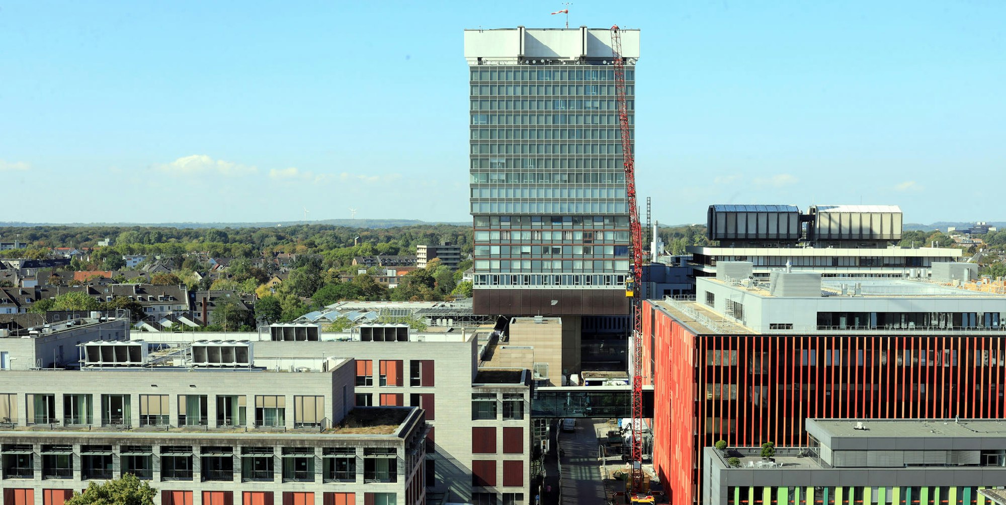 MDS-KSTA-2019-11-07-71-154322907