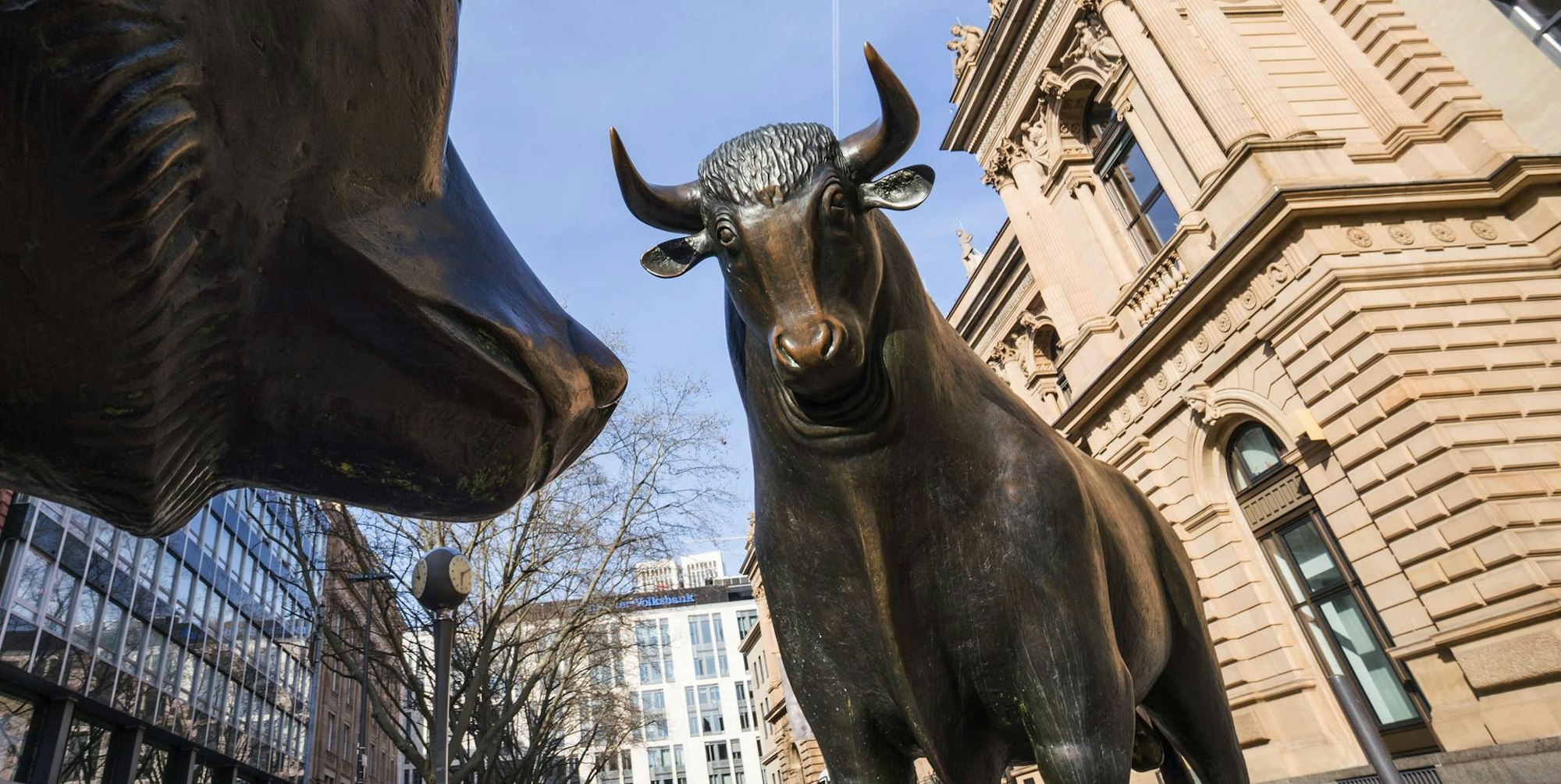 Bulle Börse Symbolbild