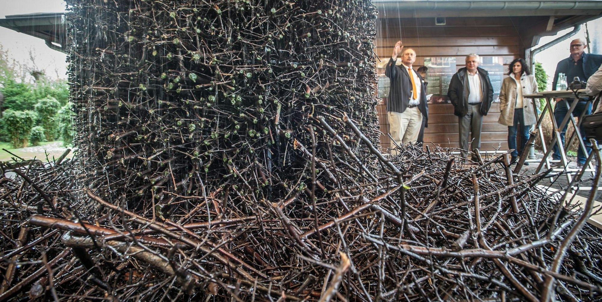 calevornia_rar_rle_04082022ALF_4673