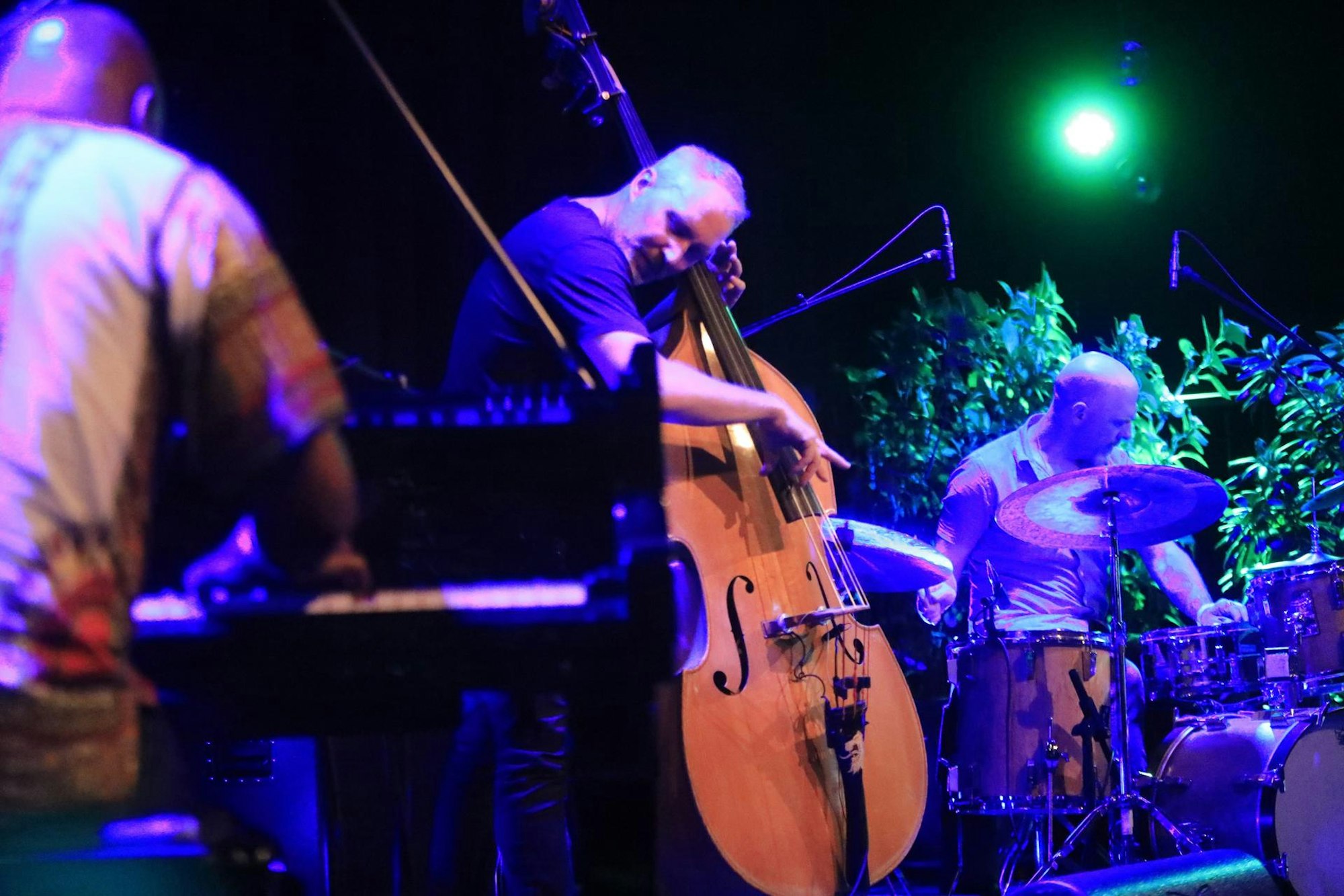 Konzert Stadtgarten Krasniqi (1)