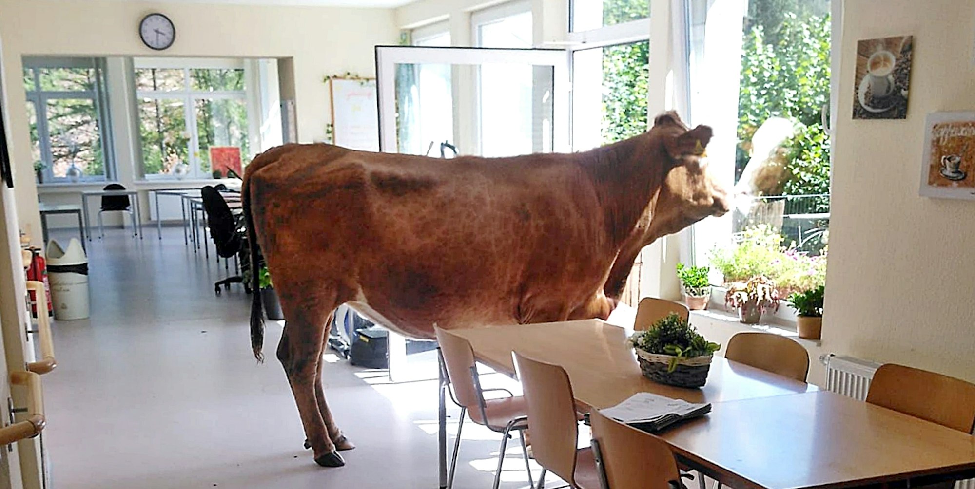 Neuer Inhalt